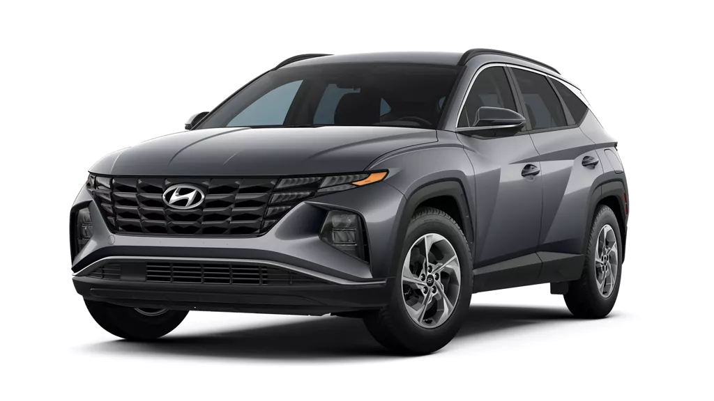 Andina Rent a Car